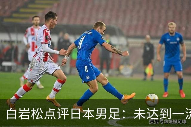 白岩松点评日本男足：未达到一流强队标准，仍需克服对荷兰的恐惧